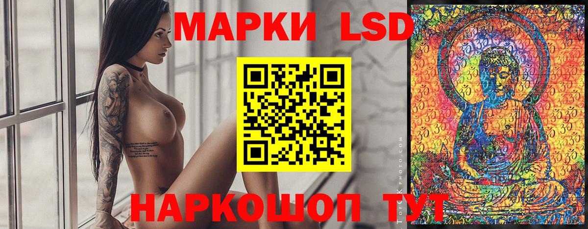 Обь  Марки N-bome 1,5мг  Вход с VPN 